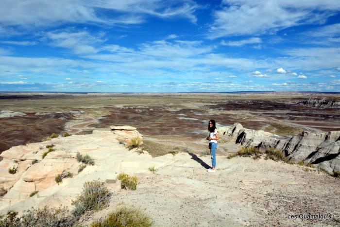 Painted Desert