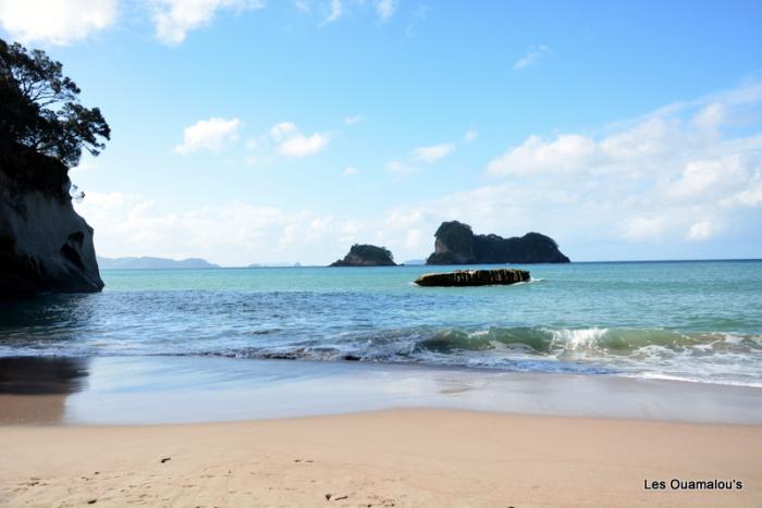 Cathedral Cove