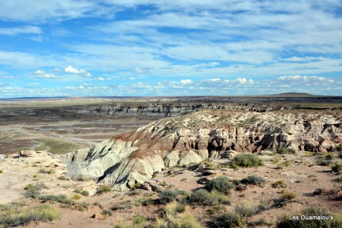 Painted Desert