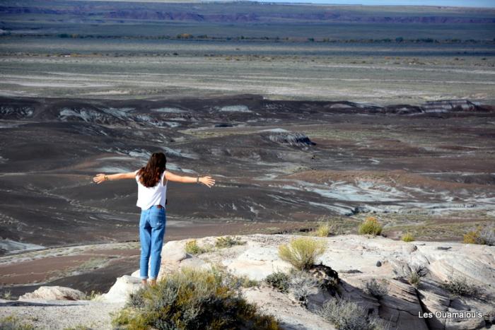 Painted Desert