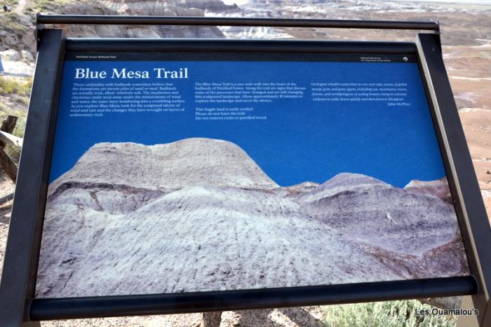 Painted Desert