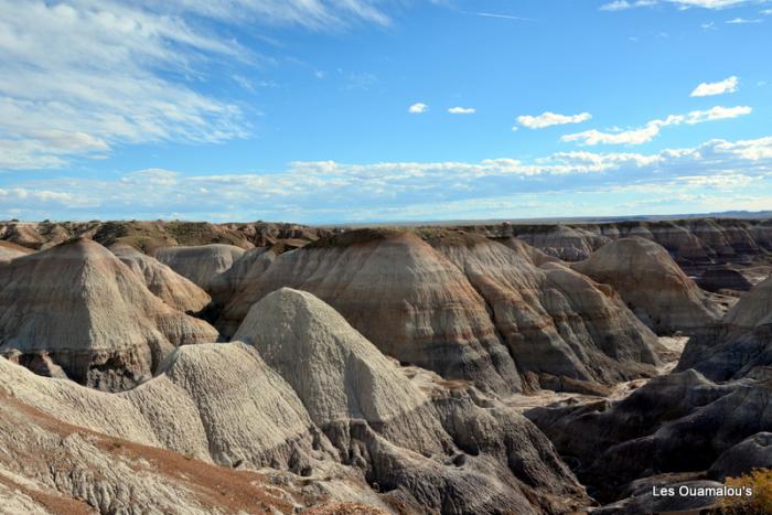 Painted Desert