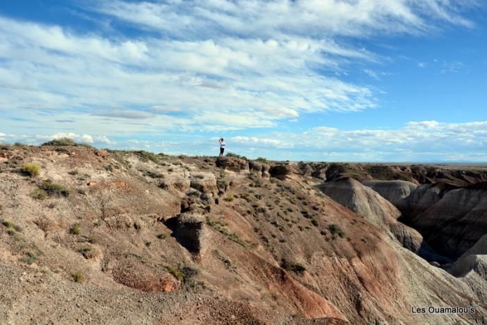 Painted Desert