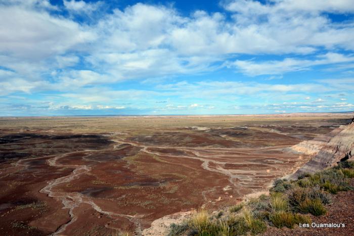 Painted Desert