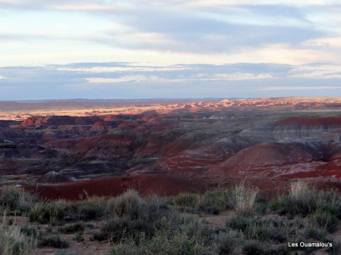 Painted Desert