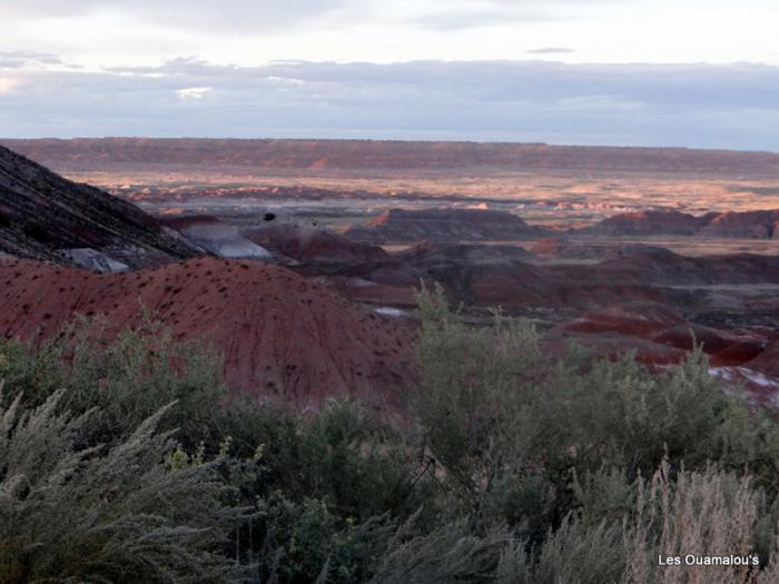 Painted Desert