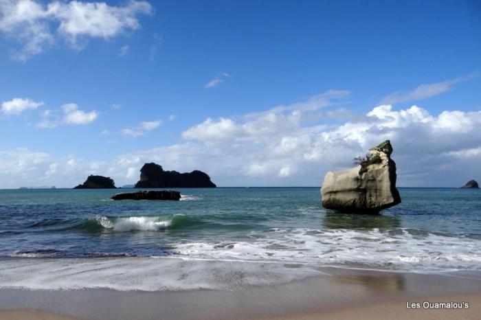 Cathedral Cove