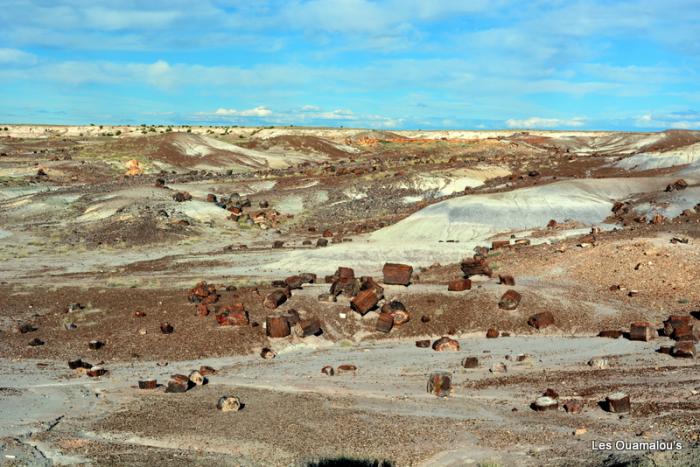 Painted Desert