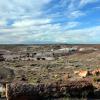 Petrified Forest