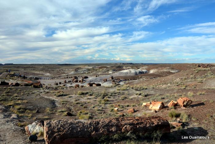 Petrified Forest