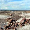 Petrified Forest