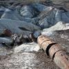 Petrified Forest