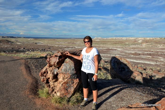 Petrified Forest