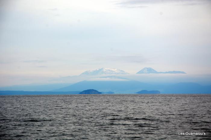 Lac Taupo - Mont Ruapehu (Volcan)