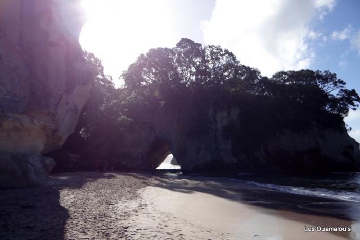 Cathedral Cove