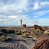 Petrified Forest