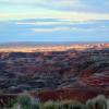 Petrified Forest