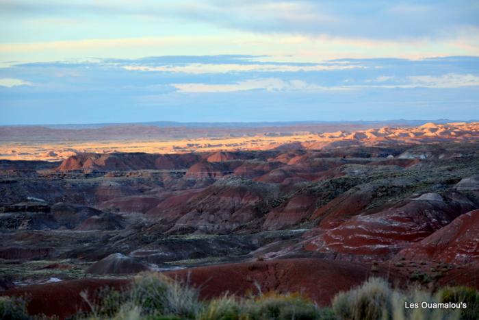 Petrified Forest