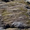 Wai O Tapu