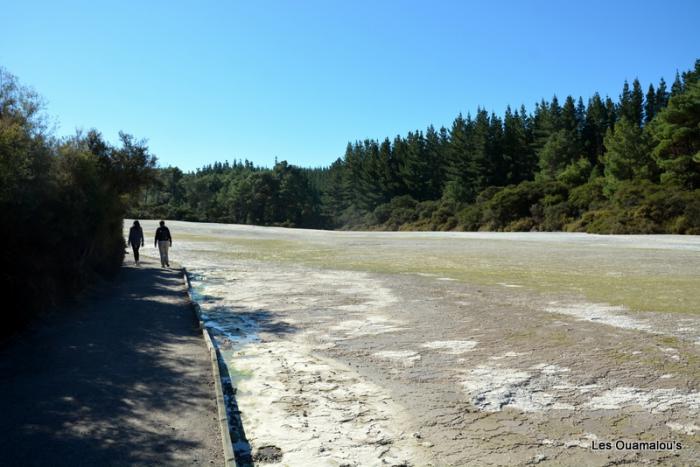 Wai O Tapu