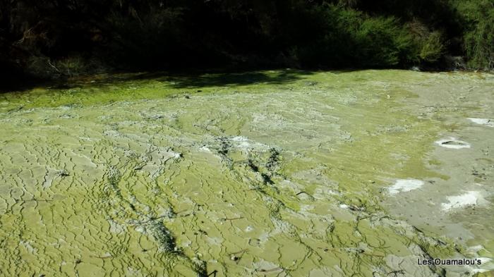 Wai O Tapu