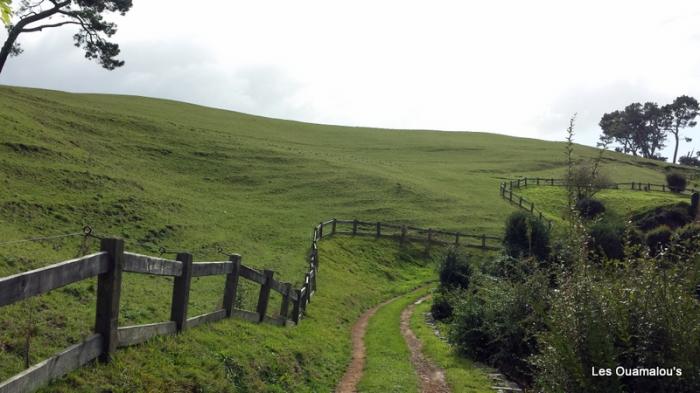 Hobbiton