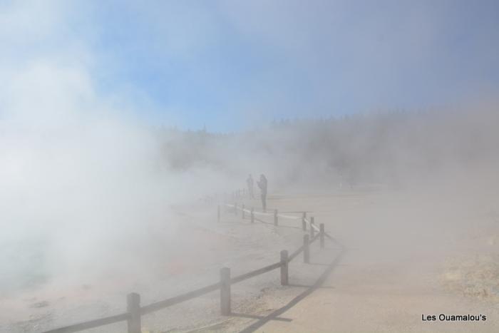 Wai O Tapu