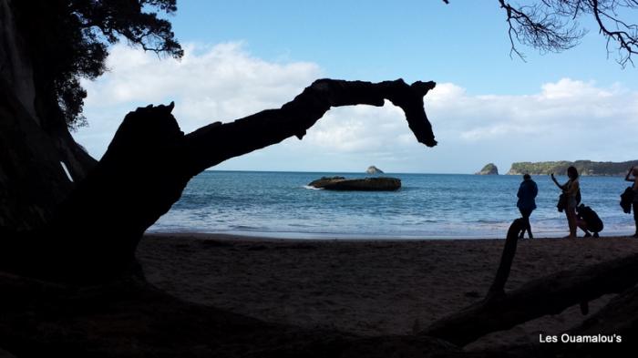 Cathedral Cove