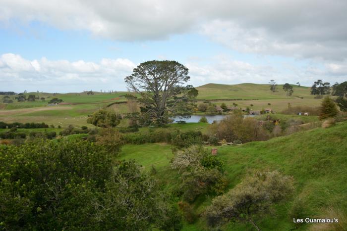 Hobbiton