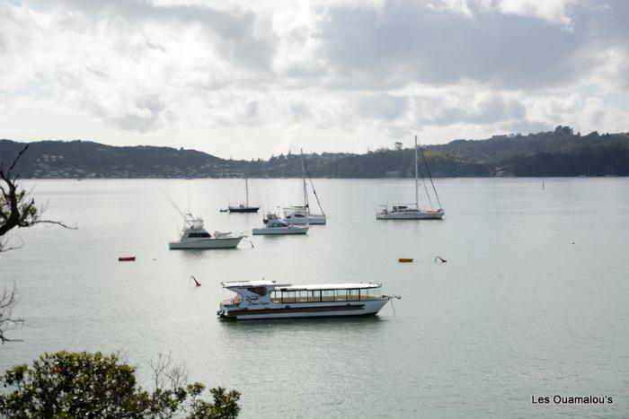 Paihia