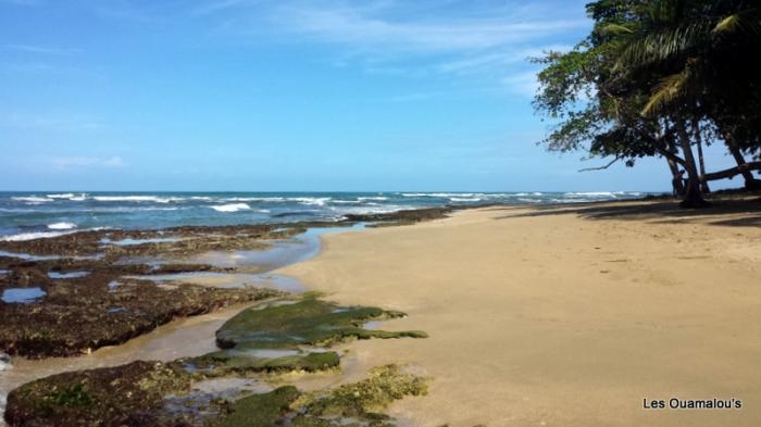 Playa Chiquita près de Cocles