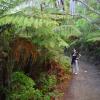 Cathedral Cove