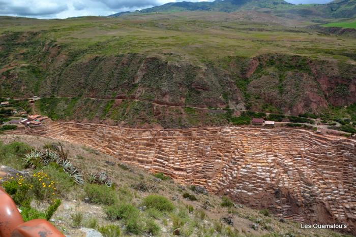 Salinas de Maras