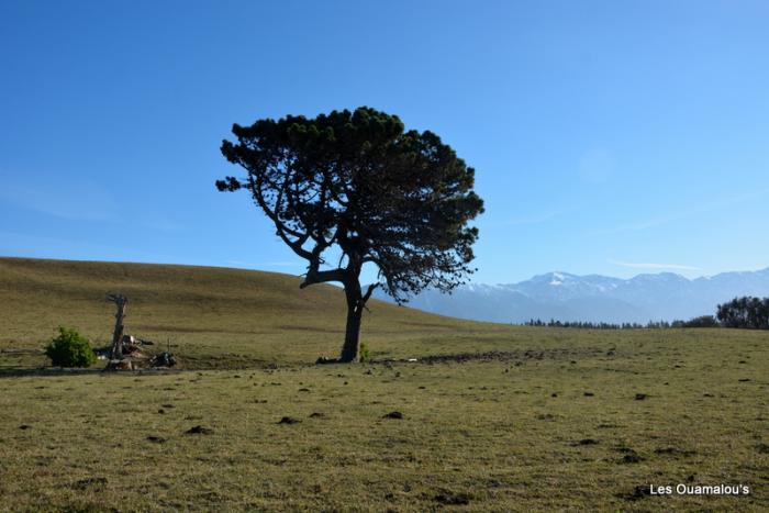 Kaikoura