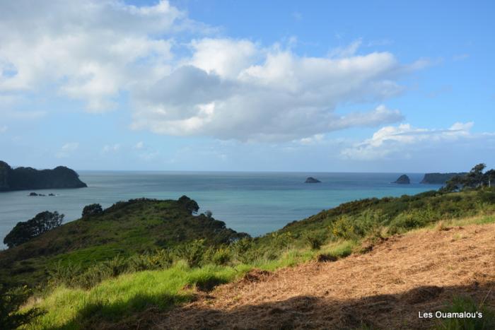 Cathedral Cove