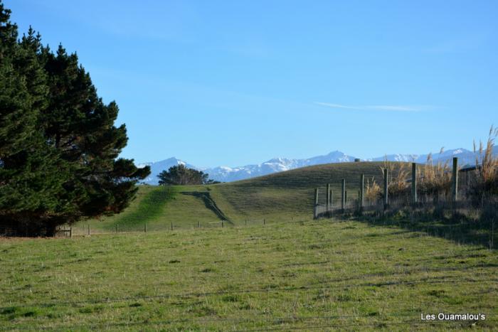 Kaikoura