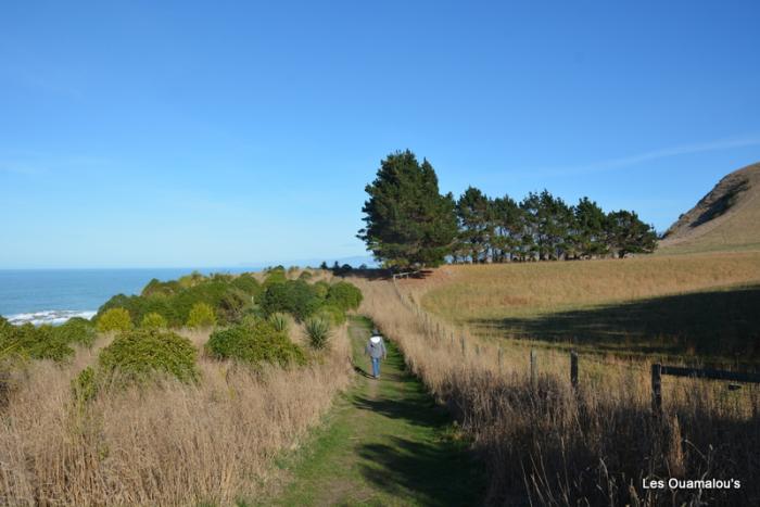 Kaikoura