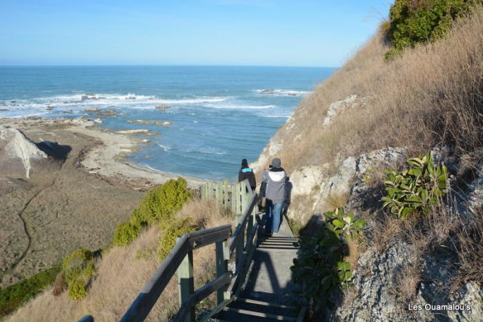 Kaikoura