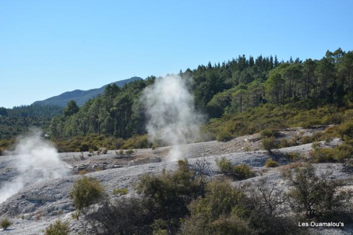 Wai O Tapu