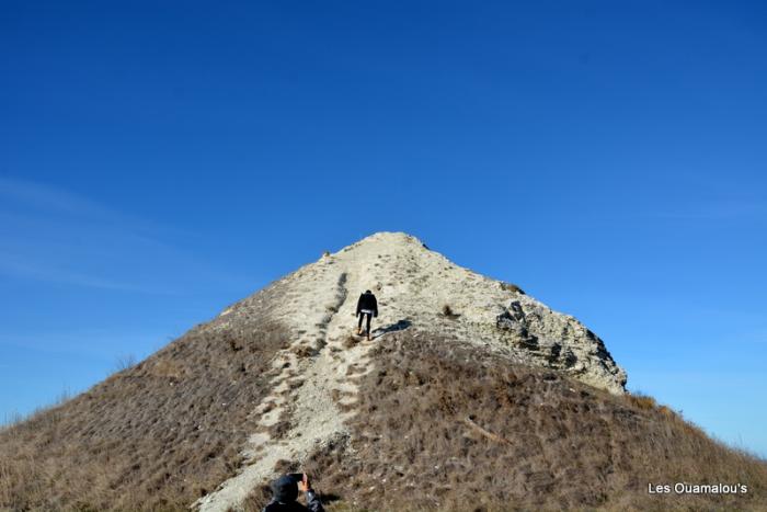 Kaikoura