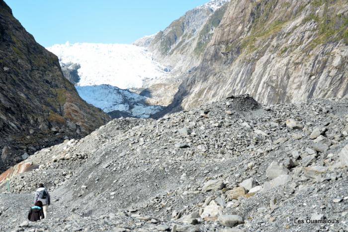 Franz Joseph Glacier