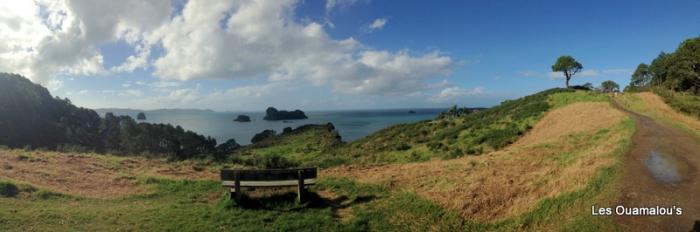 Cathedral Cove