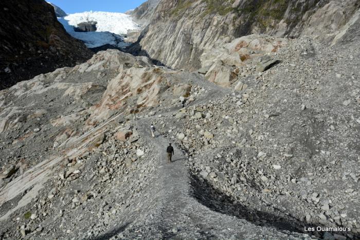 Franz Joseph Glacier