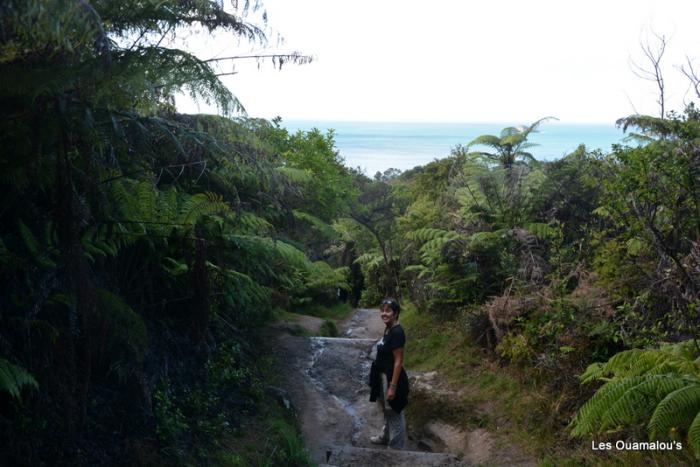 Cathedral Cove