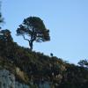 Cathedral Cove