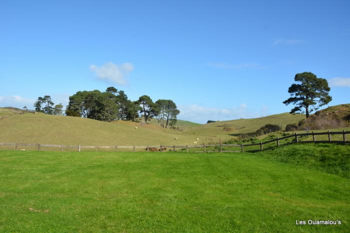 Hobbiton