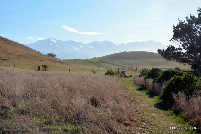 Kaikoura