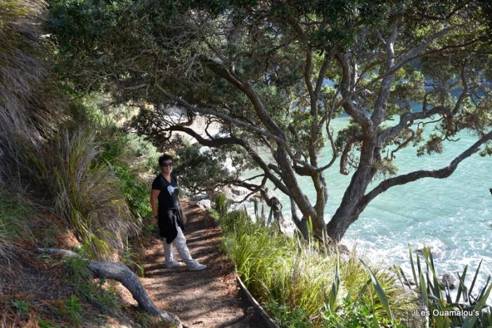 Cathedral Cove