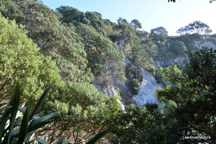 Cathedral Cove