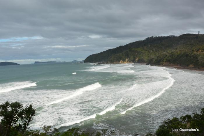 Tairua - Chez Patrick et David